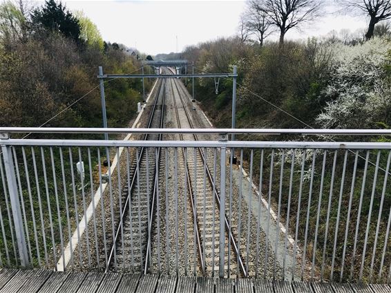 Planning van de werken aan spoorwegbruggen - Beringen