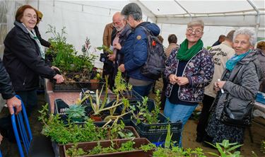 Planten- en creadag Tuinhier Koersel - Beringen