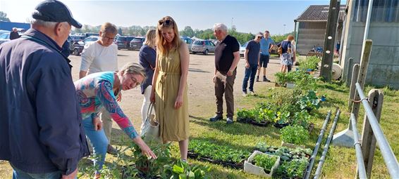 Plantenruildag van Tuinhier Oudsbergen op 9 mei - Oudsbergen