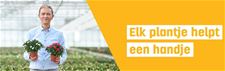 Plantjes zoeken vrijwilligers - Leopoldsburg