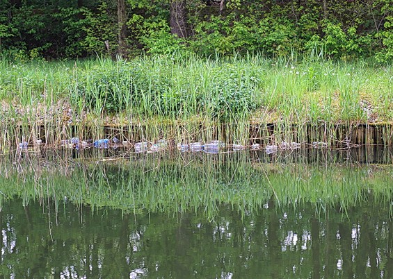 Plastiek... en een beetje natuur - Lommel