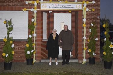 Platina voor Margriet en Louis - Beringen