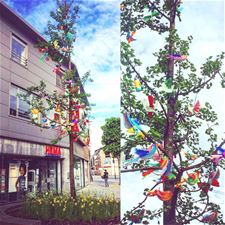 Pleegzorgbomen kleuren de Kerkstraat - Lommel