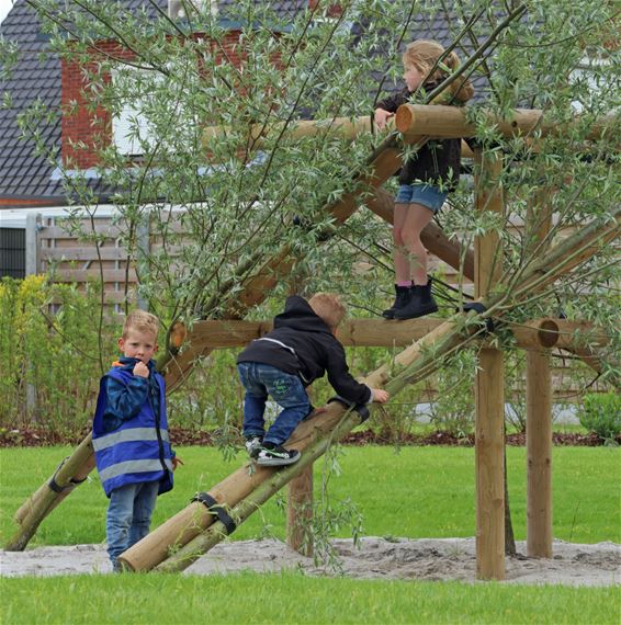 Pleintje Kolisheide in het nieuw gestoken - Pelt
