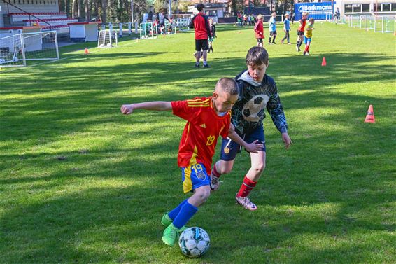 Plezier maken op paaskamp Kattenbos Sport - Lommel