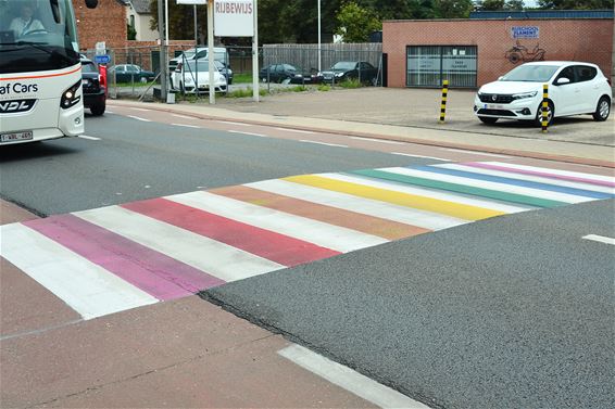 Plots een tweede regenboogzebrapad - Lommel