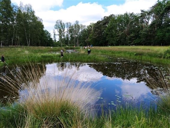 Poelen voor kinderen - Hechtel-Eksel