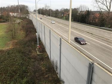 Poels ijvert voor geluidsarme betonverharding - Beringen