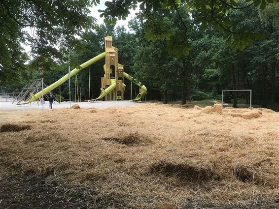 Poging tot brandstichting aan Scoutsrally - Neerpelt