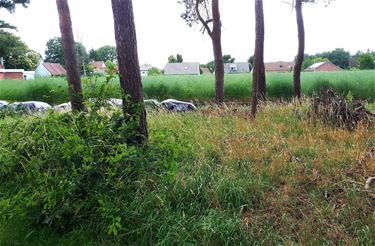 Pogingen tot herstel - Lommel