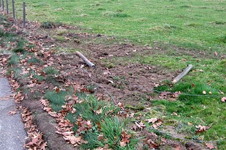 Politiebericht - Overpelt