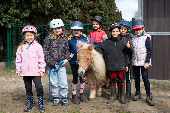 Ponyrijden in de Heuvelhoeve - Lommel