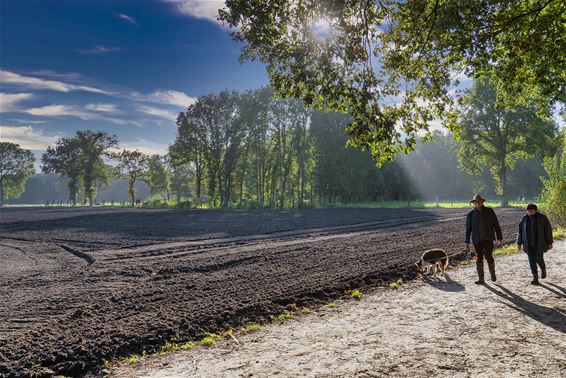 Prachtig herfst- en wandelweer - Lommel