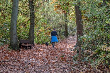 Prachtig herfstweer - Beringen & Leopoldsburg