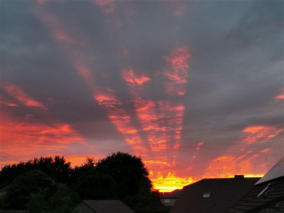 Prachtig kleurspektakel - Lommel