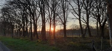 Prachtig lenteweer - Beringen