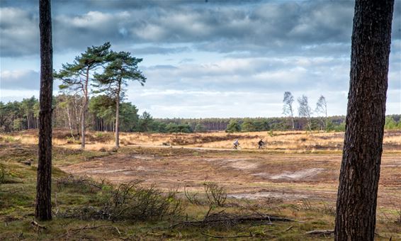 Prachtig wandel- en fietsweer vandaag - Lommel