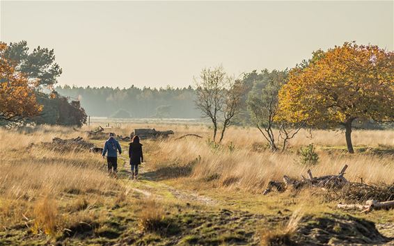 Prachtig wandelweer - Neerpelt