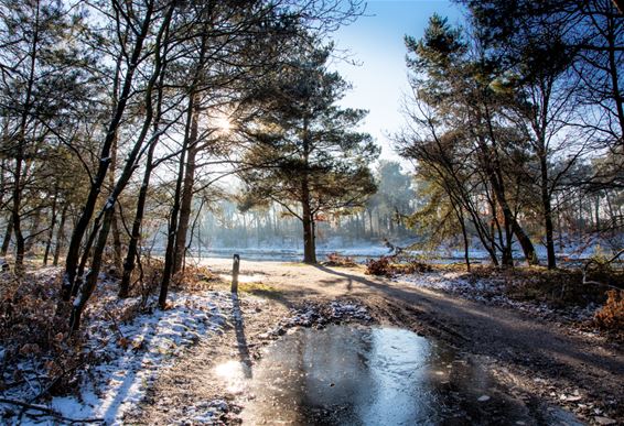 Prachtige winterlandschappen - Lommel