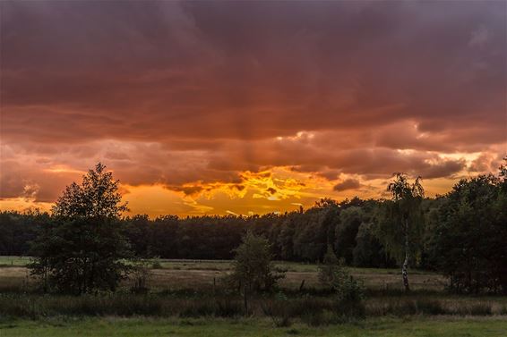 Prachtige zonsondergang - Overpelt
