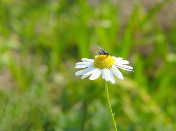 Prettig weekend en geniet - Meeuwen-Gruitrode