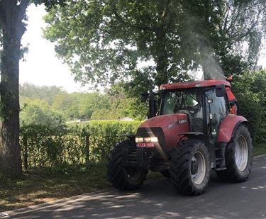 Preventieve bestrijding eikenprocessierups - Beringen