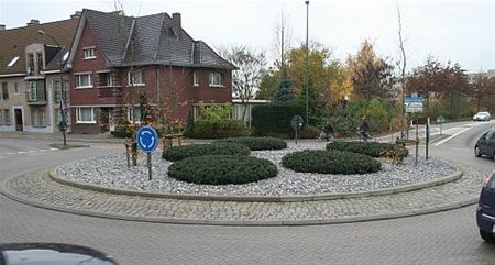 Prijs voor rotondes - Overpelt