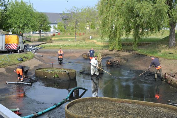 Prinses Astridpark tijdelijk afgesloten - Lommel