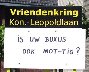 Problemen met uw buxus? - Lommel