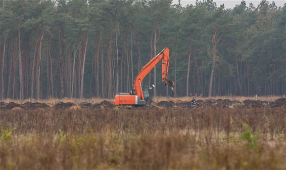 Proefsleuvenonderzoek op Blekerheide - Lommel