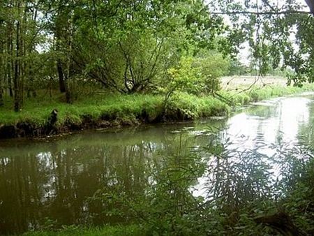 Project ‘Onze Dommel’start met wandeling - Peer & Pelt