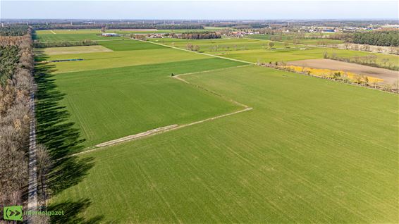 Projectsubsidies voor sterke ideeën in Oudsbergen - Oudsbergen