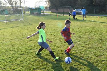 Provinciaal voetbal definitief stopgezet - Beringen & Leopoldsburg