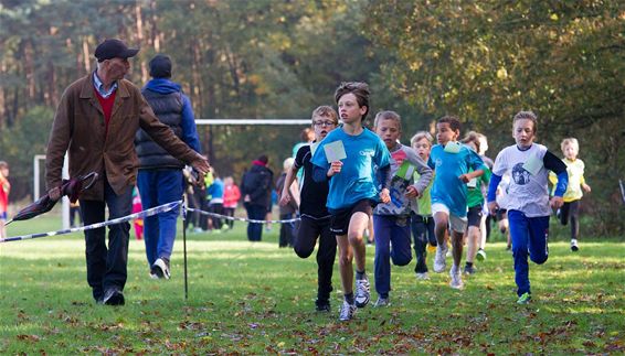 Provinciale scholenveldloop - Hechtel-Eksel