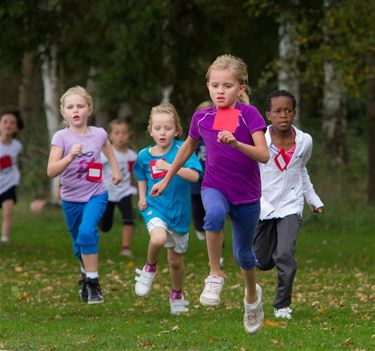 Provinciale veldloop