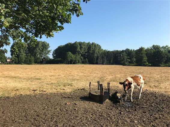 Provincie maakt studie over klimaatverandering - Beringen