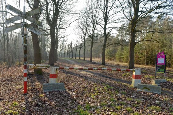 Provincie mag bieden op Kolenspoor - Houthalen-Helchteren & Beringen