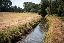 Provincie  neemt beheer waterlopen over - Bocholt & Oudsbergen