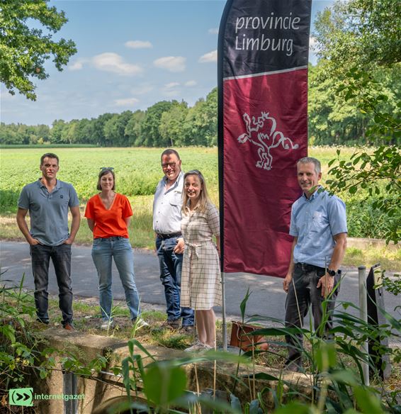 Provincie plaatst stuwen in Haienhoekerloop - Pelt