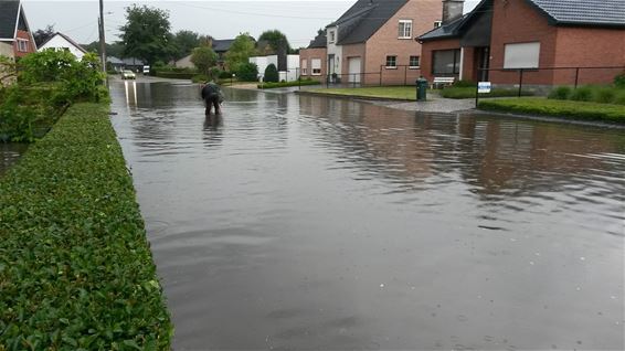 Puin ruimen na hevig onweer - Beringen