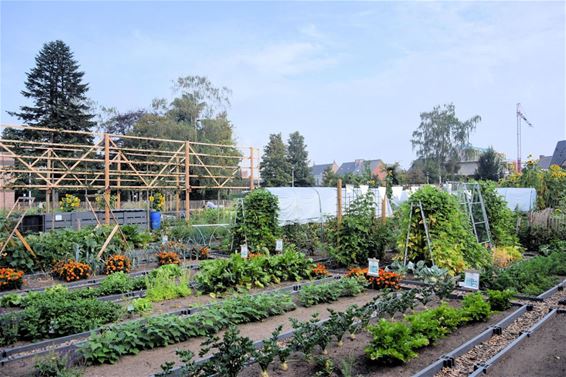 Puur genieten aan de HOF'kens - Hamont-Achel