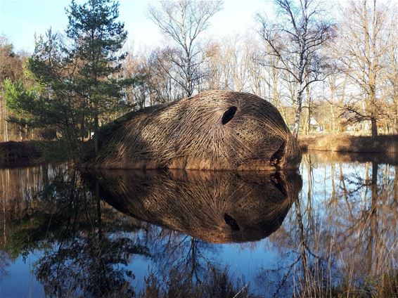 Puur natuur... - Pelt