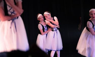 Recitals Diestse balletschool - Beringen