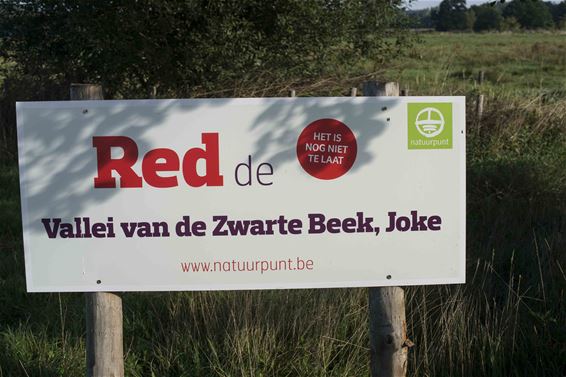 Red de Vallei van de Zwarte Beek, Joke - Beringen