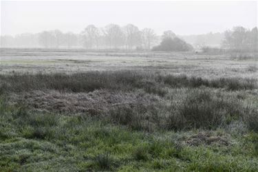 Reddingsactie voor Vallei van de Zwarte Beek - Beringen