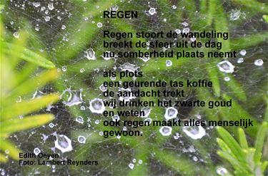 Regen door Edith - Beringen