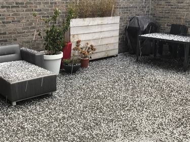 Regen en hagel in Beringen - Beringen