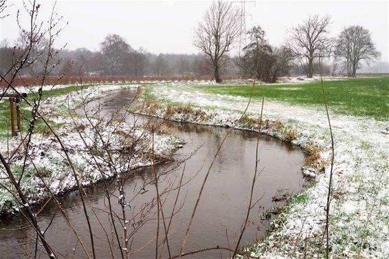 Hoge waterstanden door regen en sneeuw - Beringen