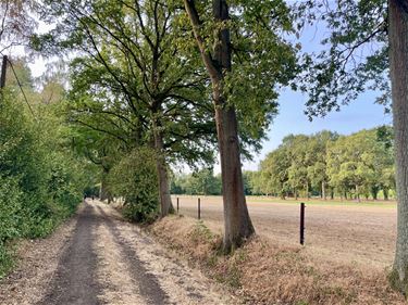 Regen op komst - Beringen & Leopoldsburg