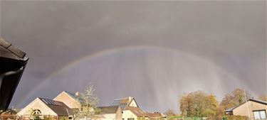 Regenbogen - Beringen